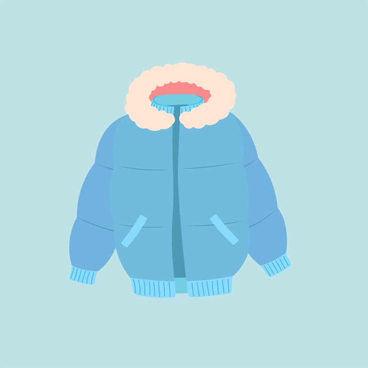 Vector chaqueta acolchada con capucha ilustración plana aislada sobre fondo de color vector de ropa de mujer