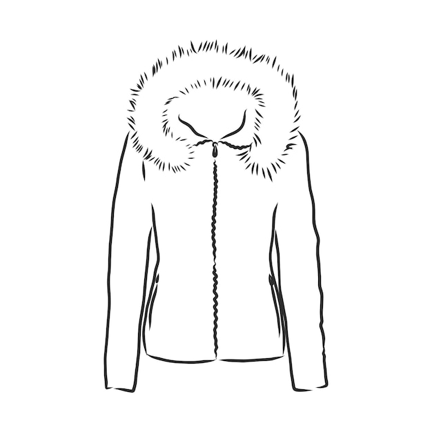 Chaqueta parka de dibujo vectorial. Prendas de abrigo de invierno. chaqueta cálida, ilustración de dibujo vectorial