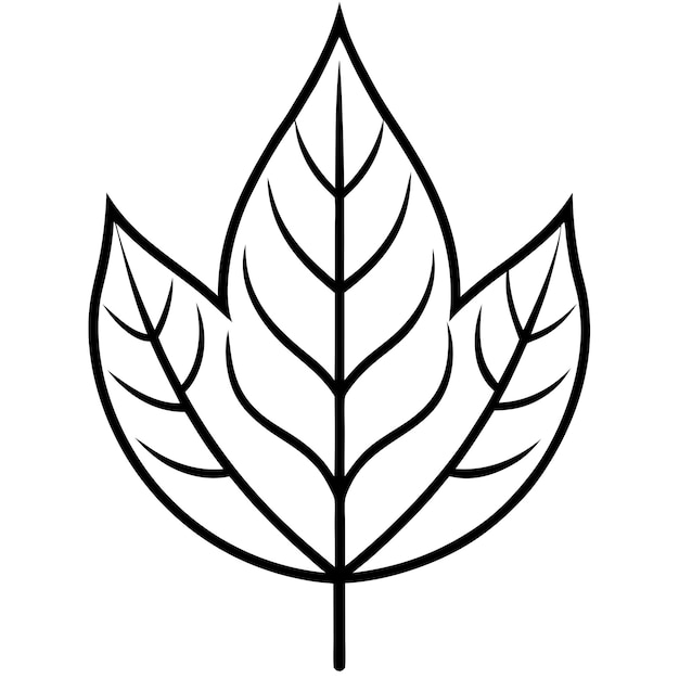 Charm Leaf Arte vectorial Diseño de ilustraciones para contenido natural