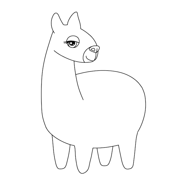 Chica de alpaca de línea Ilustración de contorno blanco aislado Animal de llama divertido para libro de colorear infantil