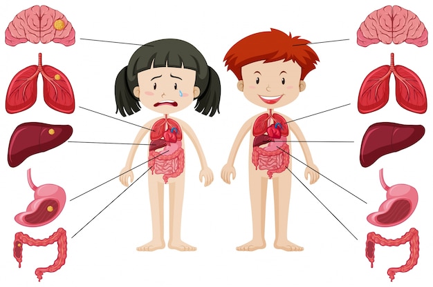 Vector chica y chico con diferente cuerpo saludable y saludable