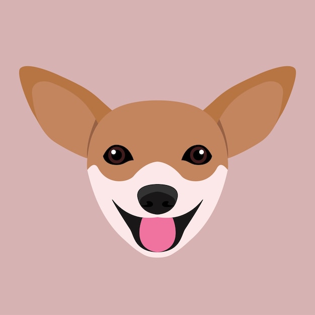 Chihuahua y chihuahuas