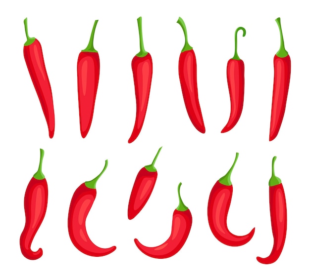 Chiles. Pimiento rojo picante de dibujos animados. Ingrediente especiado de cayena y capsaicina para salsa de chile. Conjunto de vector de elemento de logotipo de pimienta mexicana. Quemar condimentos orgánicos para cocinar alimentos