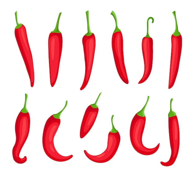 Chiles. pimiento rojo picante de dibujos animados. ingrediente especiado de cayena y capsaicina para salsa de chile. conjunto de vector de elemento de logotipo de pimienta mexicana. quemar condimentos orgánicos para cocinar alimentos