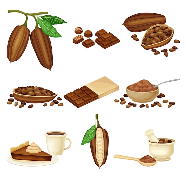 Chocolate con semillas de cacao tostadas y molidas dulces y pastelería conjunto vectorial