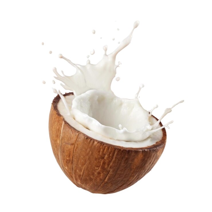 Vector chorrito de leche de coco