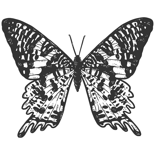 Chrysiridia rhipheus mariposa Sketch scratch board imitación para colorear