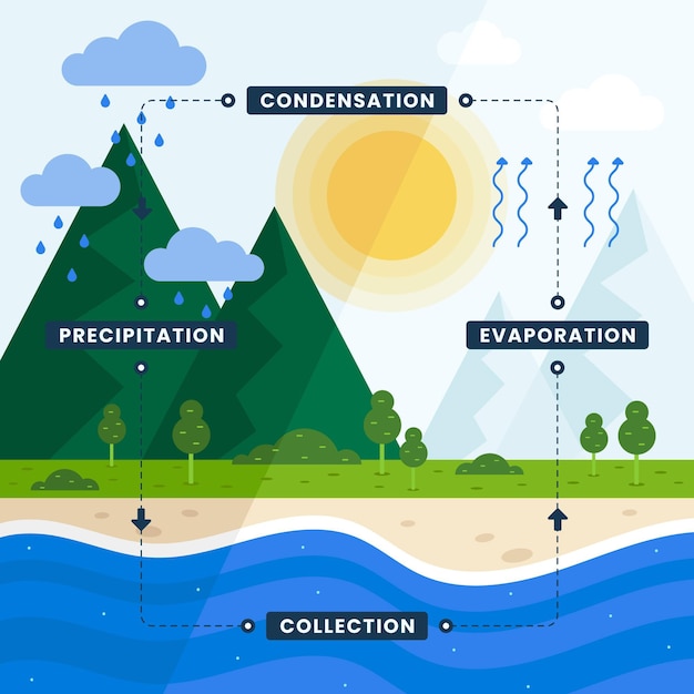 Vector ciclo del agua de diseño plano