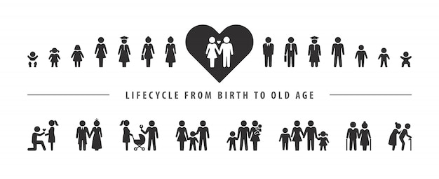 Vector ciclo de vida y proceso de envejecimiento.