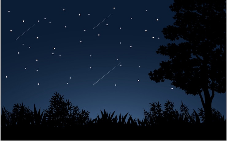 Vector cielo estrellado a medianoche con silueta de árbol