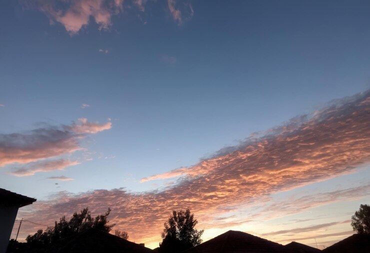 Vector un cielo con nubes y algunos árboles en primer plano