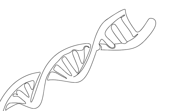 Vector ciencia biotecnología adn línea continua un dibujo ilustración vectorial ilustración de línea simple