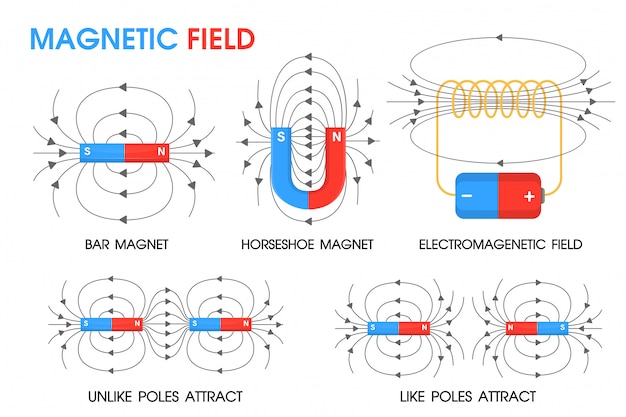 Vector la ciencia física sobre el movimiento de los campos magnéticos.