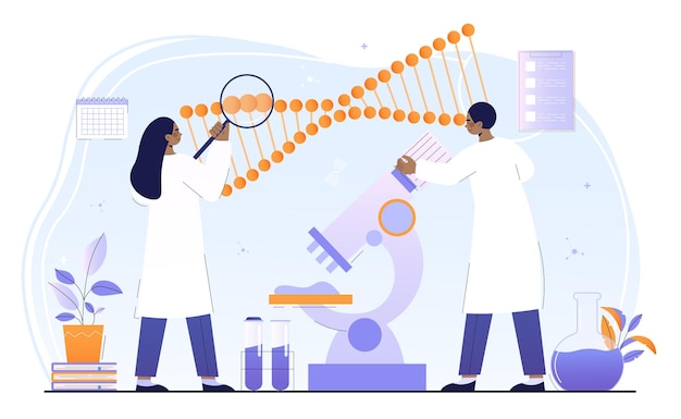 Científicos masculinos y femeninos están trabajando juntos en modificaciones genéticas concepto de medicina y