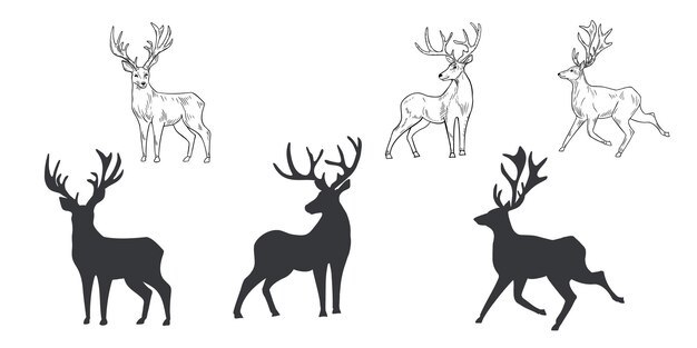El ciervo dibujado a mano en blanco y negro con un conjunto vectorial de dibujos animales del bosque renos con cuernos boceto monocromático para diseños de invierno y Navidad silueta de ciervo salvaje para tarjetas estacionales