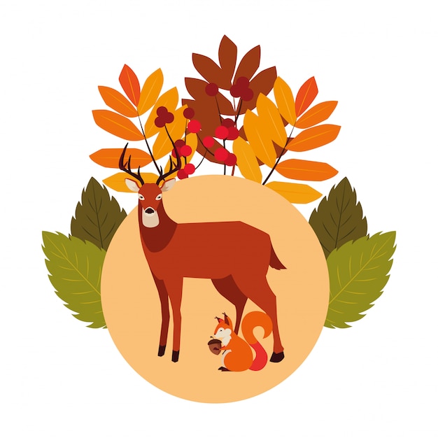 Ciervos y ardillas feliz temporada de otoño