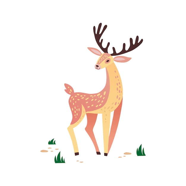 Ciervos dibujados a mano ilustración. Animal salvaje con astas. Lindo personaje de renos sobre hierba