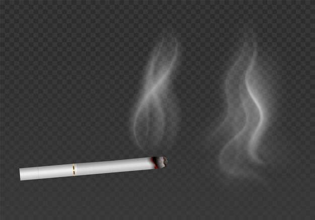 Cigarro con efecto de humo aislado sobre un fondo transparente Efectos de niebla de vapor de humo realistas