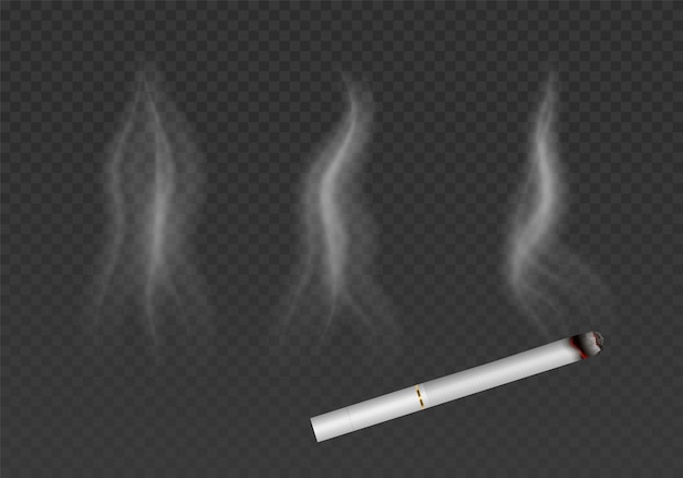 Cigarro con efecto de humo aislado sobre un fondo transparente Efectos de niebla de vapor de humo realistas