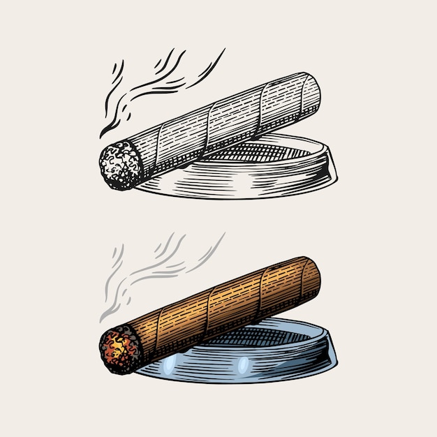 Vector cigarro o humo