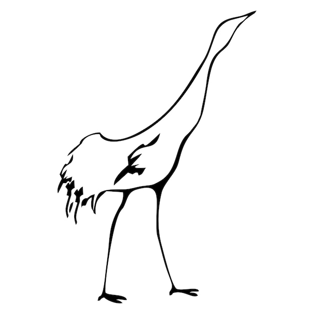 Cigüeña pájaro