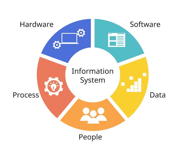 Vector los cinco componentes de un sistema de información de hardware, software, datos, personas y procesos