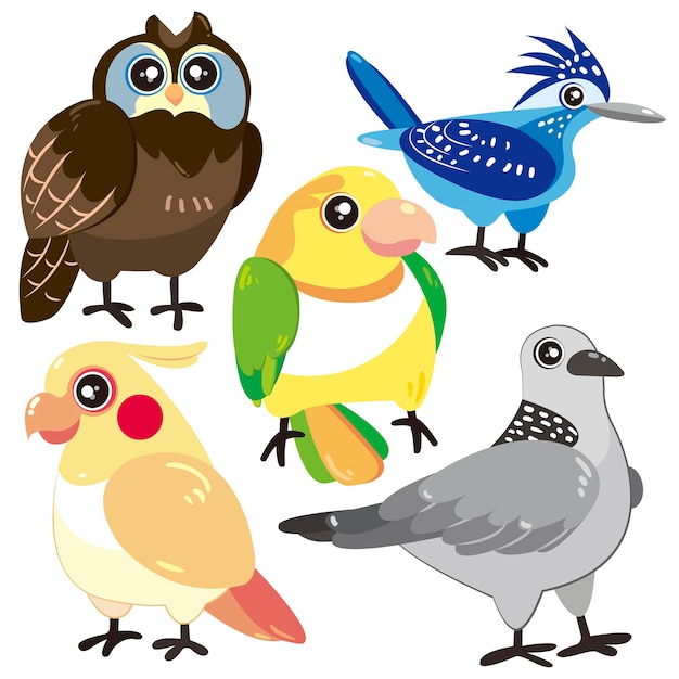 cinco pájaros sobre fondo blanco