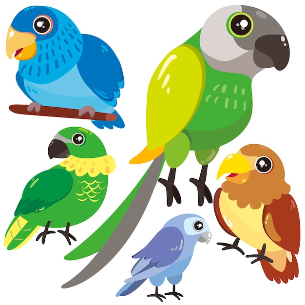 Vector cinco pájaros sobre fondo blanco