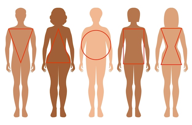 Cinco siluetas femeninas Tipos de figuras femeninas