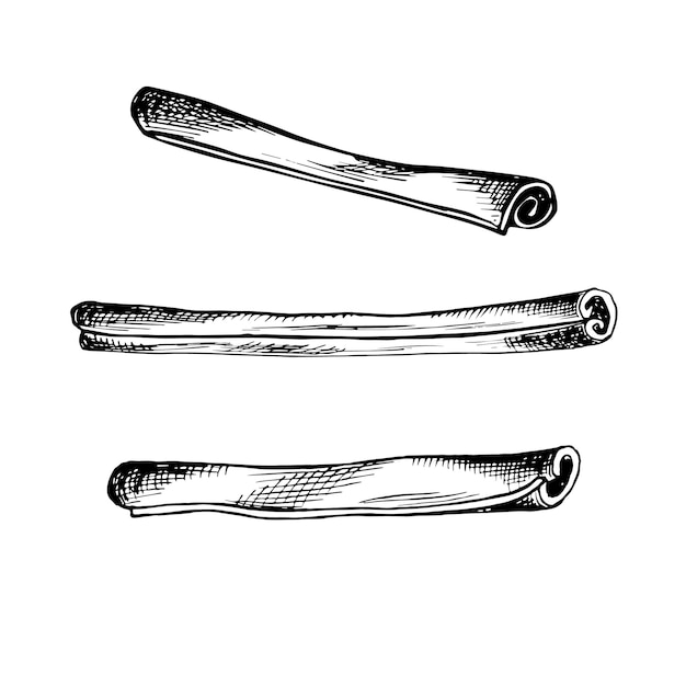 Cinnamon twisted sticks set sketches ilustración gráfica vectorial dibujada a mano aislada en negro