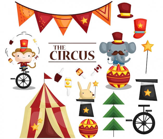 Circo animal