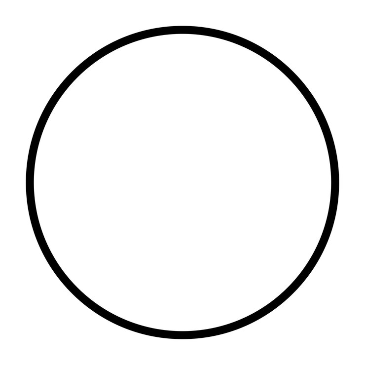Vector un círculo con un círculo en él que dice que nadie está en el centro