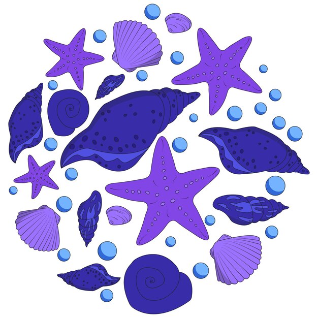 Vector un círculo de conchas marinas y estrellas de mar.