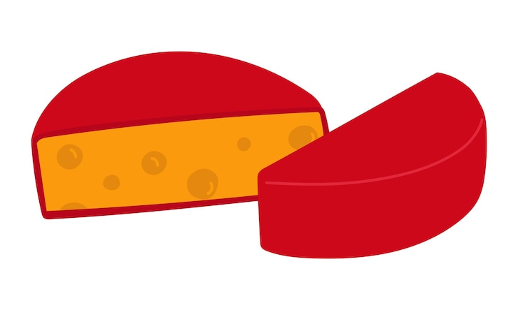 Vector círculo cortado a la mitad del queso redondo amarillo en cera roja ilustración vectorial de productos lácteos porosos
