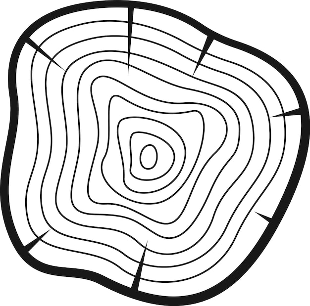 Círculo de madera del anillo del árbol