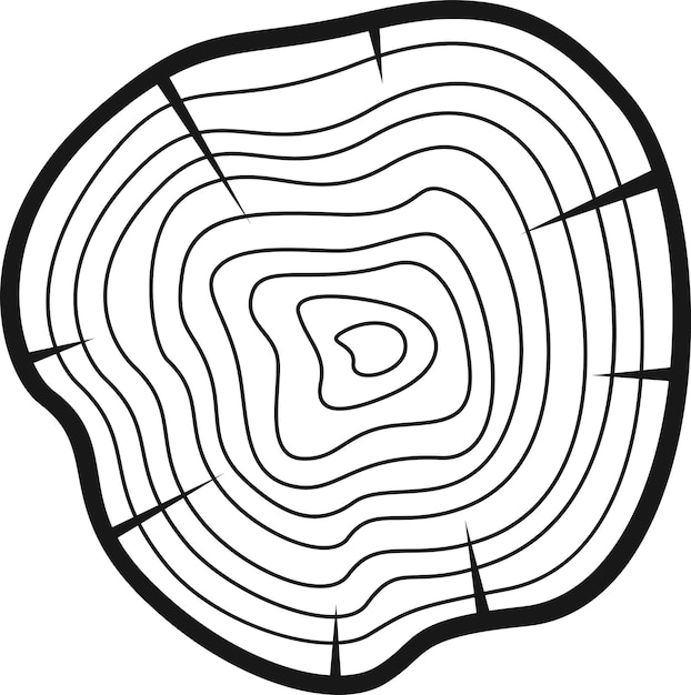 Círculo de madera del anillo del árbol