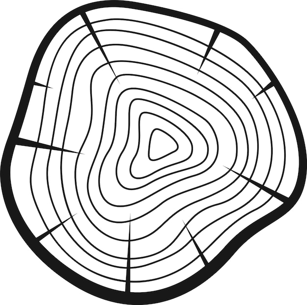 Círculo de madera del anillo del árbol
