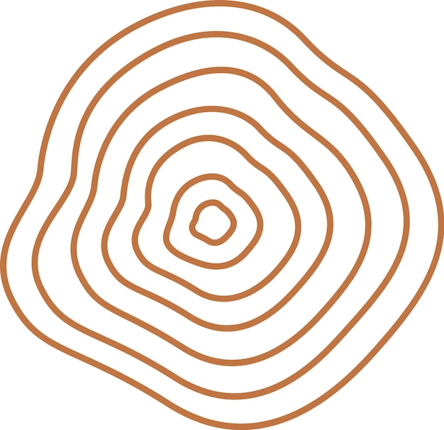 Círculo de madera del anillo del árbol