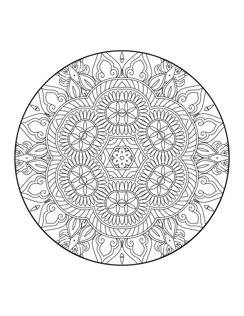 Círculo mandala 601