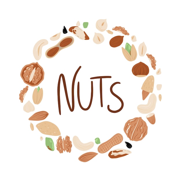 Un círculo de nueces y nueces con la palabra nueces.