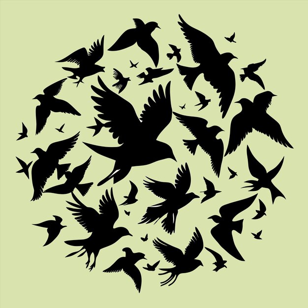 Un círculo de pájaros está rodeado por un círculo de aves.