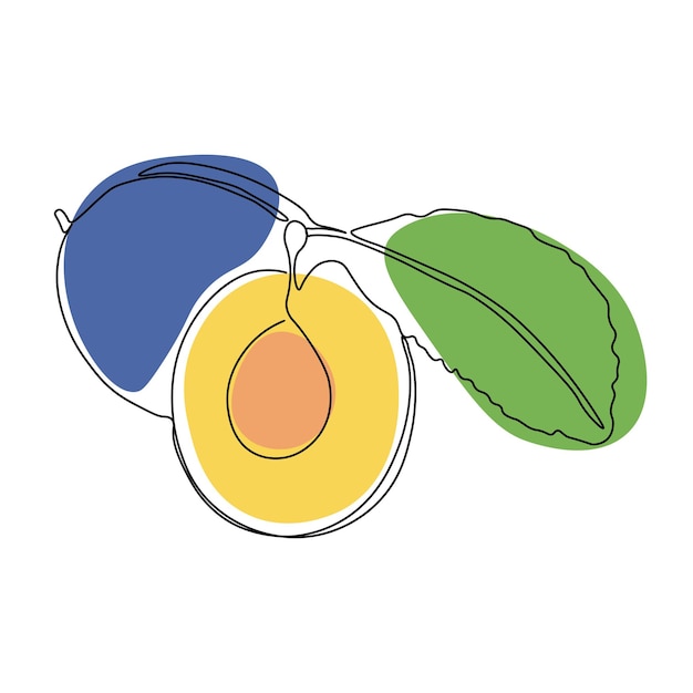 Ciruela de dibujo de una línea continua Ilustración vectorial Arte de línea negra sobre fondo blanco con manchas de colores