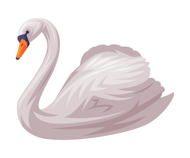 Cisne blanco como símbolo de Finlandia e ilustración vectorial de atributos