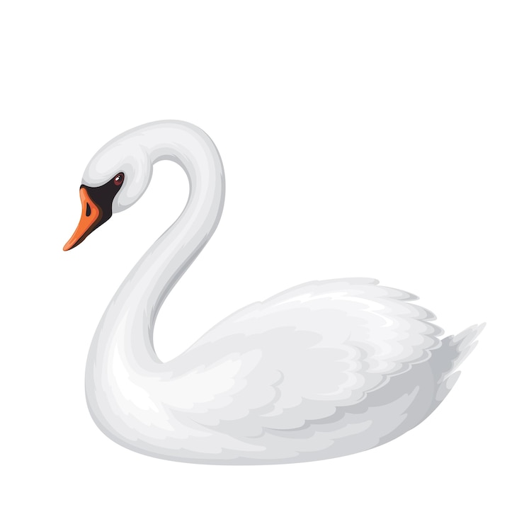 Vector el cisne blanco