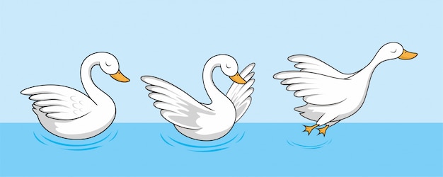 Cisne de dibujos animados ganso lindo