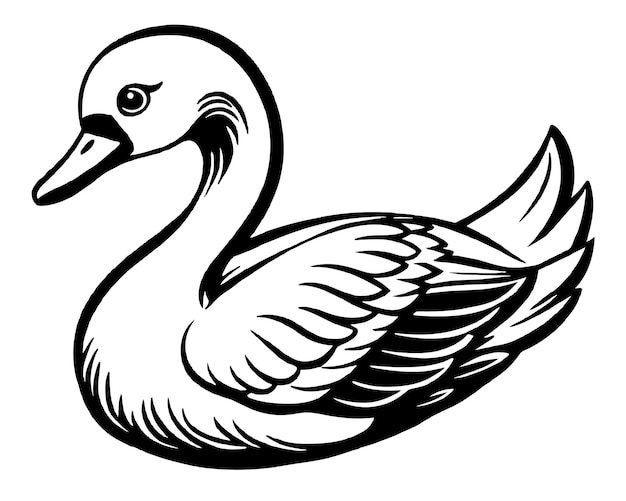 Cisne negro y blanco aislado sobre fondo blanco Ilustración vectorial