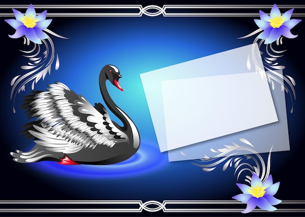 Cisne negro sobre fondo azul y papel para tu texto