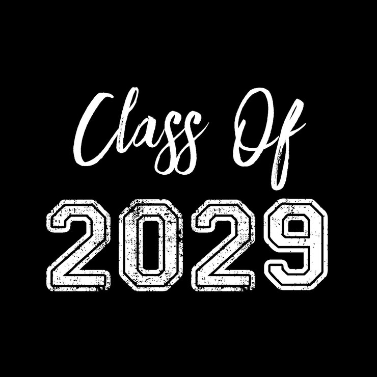 Vector clase de 2029 vector de texto, diseño de camiseta