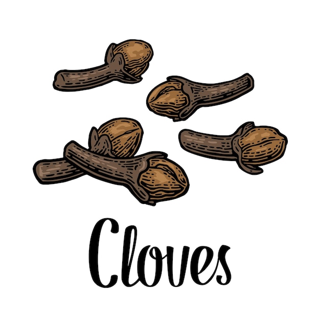 Clavos Vector vintage negro grabado
