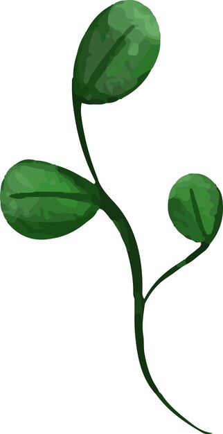 clip art acuarela ilustración de plantas coloridas florales y hojas para papel tapiz de patrón sin costuras